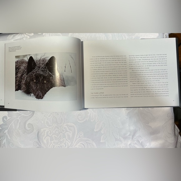 National Geographic: The Hidden Live of Wolves EUC ❄️ - Picture 4 of 6